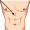 abdominals muscles5